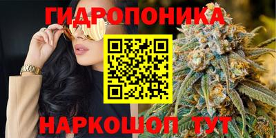 молекула духа Шелехов