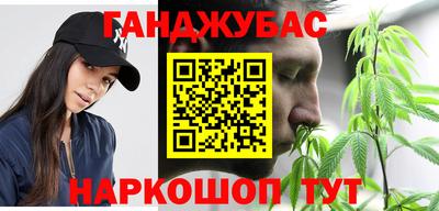 молекула духа Шелехов