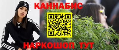 молекула духа Шелехов