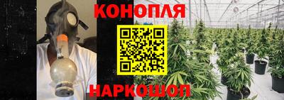 молекула духа Шелехов