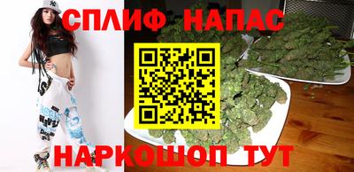 молекула духа Шелехов