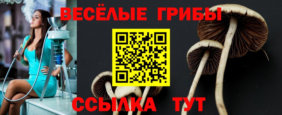 Галлюциногенные грибы ЛСД Вольск